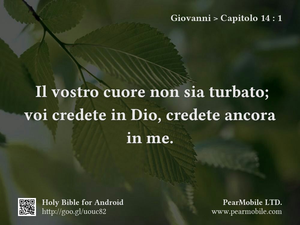 Giovanni, Capitolo 14:1